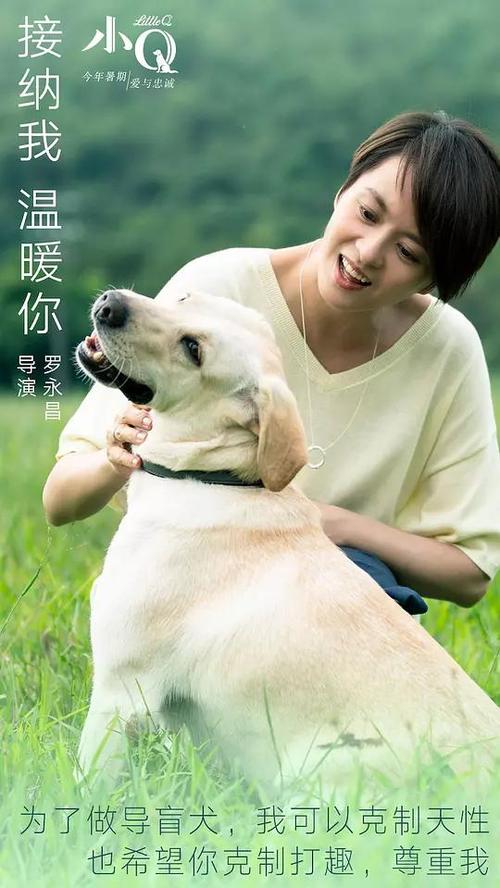 高中学籍号查询